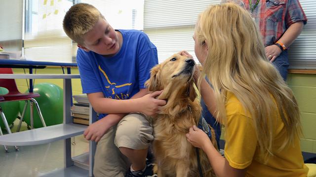 La présence d'un chien à l'école peut apaiser les tensions ou détendre les écoliers stressés ou hyperactifs. [Keystone - Joe Hadsall]