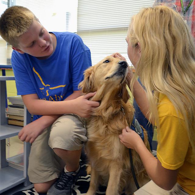 La présence d'un chien à l'école peut apaiser les tensions ou détendre les écoliers stressés ou hyperactifs. [Keystone - Joe Hadsall]