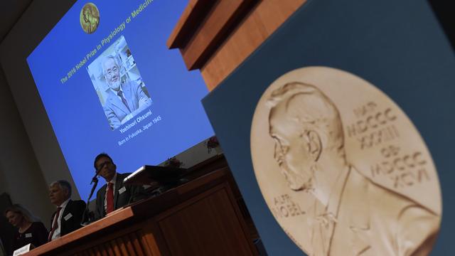 Le Nobel de médecine 2016 a été remis à un biologiste japonais. [AFP - JONATHAN NACKSTRAND]