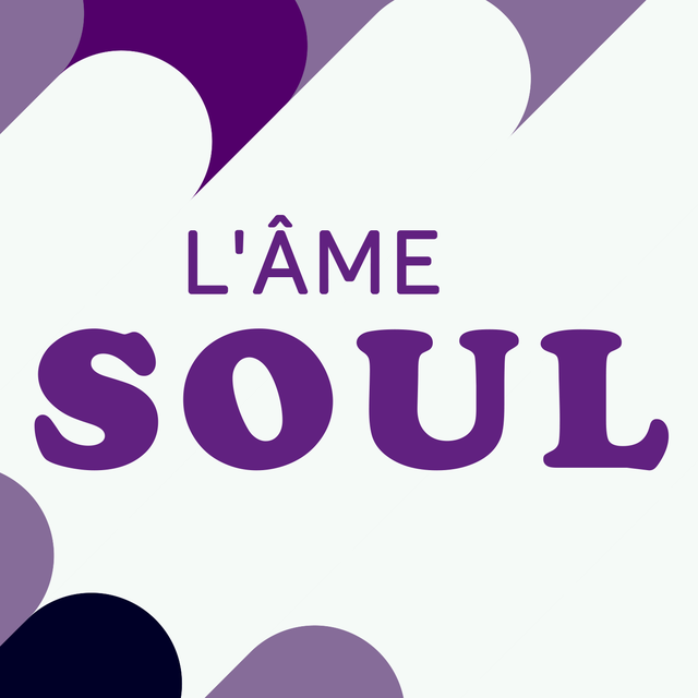 Logo "L'âme soul". [RTS]