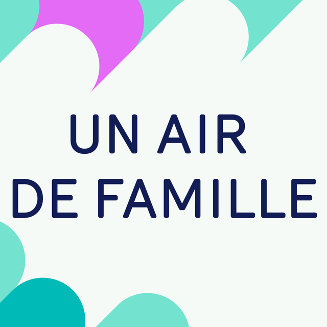 Logo "Un air de famille". [RTS]