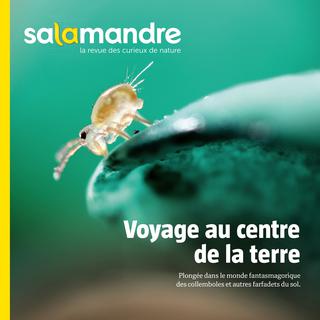 La couverture de La Salamandre n° 236 des mois d'octobre-novembre 2016. [Salamandre.net]