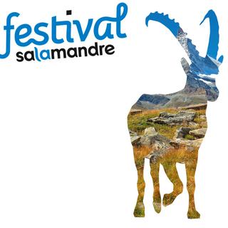 L'Affiche du Festival Salamandre 2016 du 28 au 30 octobre, Morges. [festival-salamandre.net - DR]