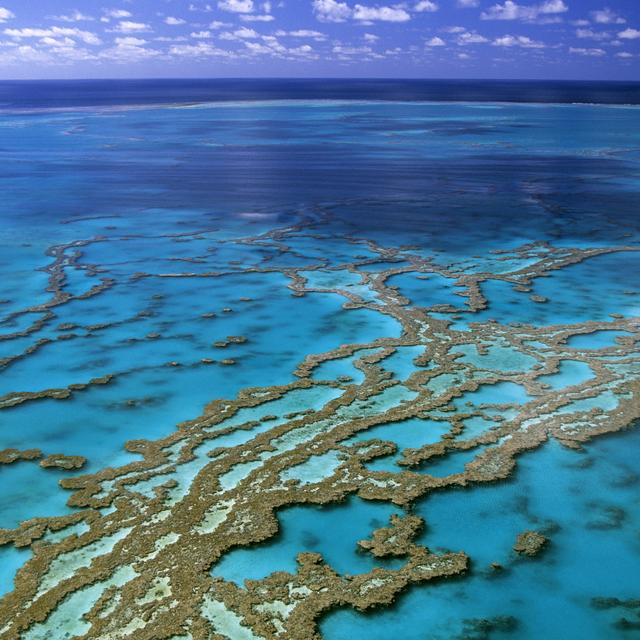 La grande barrière de corail, dans le Queensland australien. [Only France/AFP - Thierry Grun]