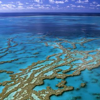 La grande barrière de corail, dans le Queensland australien. [Only France/AFP - Thierry Grun]