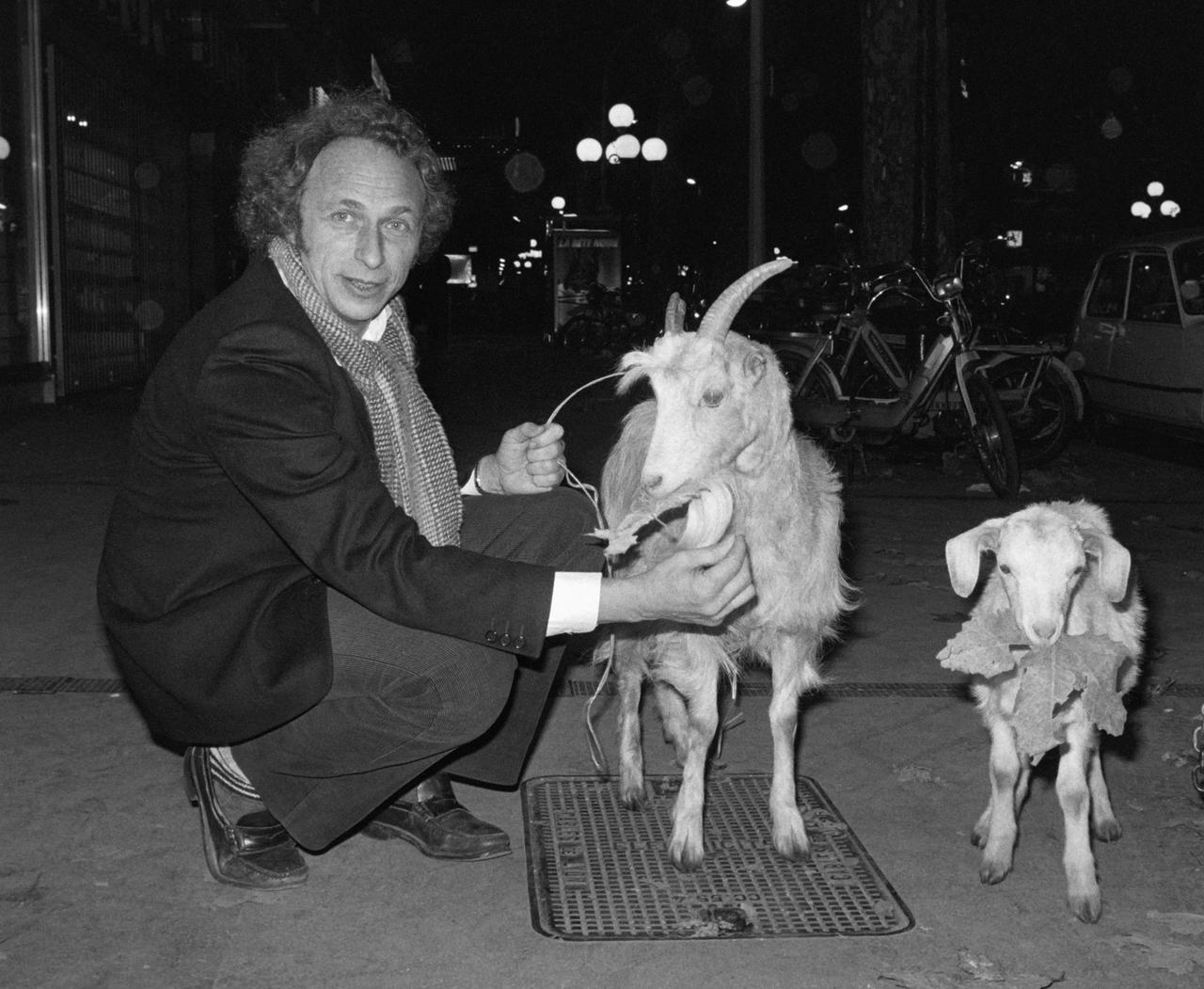 L'acteur français Pierre Richard pose avec des chèvres devant un cinéma de Nice, le 7 décembre 1981, lors de la présentation du film "La Chèvre" de Francis Veber. [AFP - Ralph Gatti]