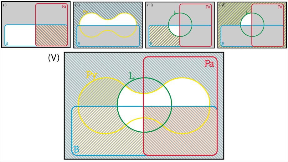 Dans ces diagrammes, on met en grisé les parties que l'on ne considère pas et en hachuré les parties vides déduites des affirmations. [Mathscope - SVF]