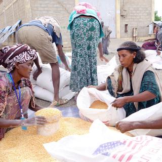 Distribution de céréales en Ethiopie. [Yves Magat]