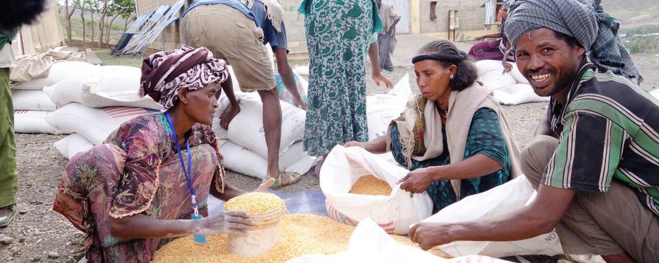 Distribution de céréales en Ethiopie. [Yves Magat]