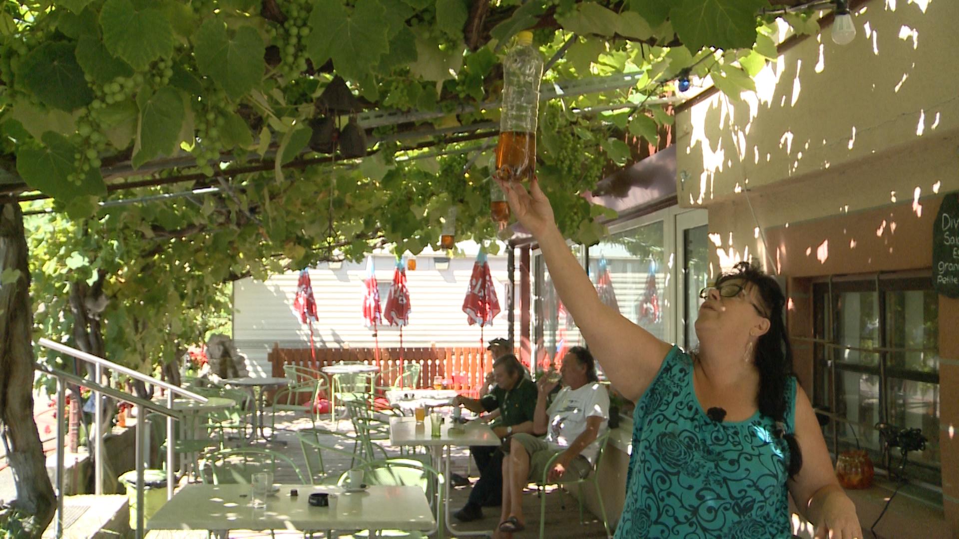 Nina Vidal, exploitante du restaurant-camping local, multiplie les pièges. [RTS - Rafael Poncioni]
