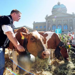 Les paysans parviennent assez souvent à faire entendre leur voix à Berne, grâce à leur force électorale. [Keystone - Lukas Lehmann]