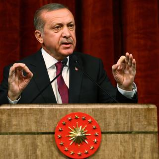 Recep Tayyip Erdogan. [AP Photo/Kayhan Ozer Presidential Press Service, via AP Pool/Keystone]
