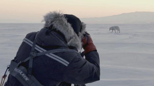 Le photographe Vincent Munier lors d'une expédition.