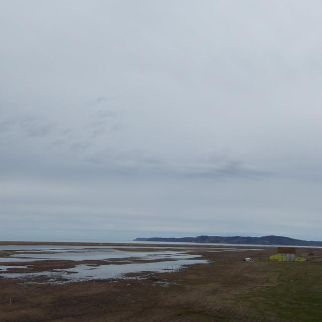 Paysage de Miquelon, île-soeur de Saint-Pierre. [Gwenaëlle Abolivier]