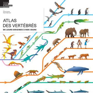 "Atlas des vertébrés", d'Arthur Escher et Robin Marchant, paru aux éditions LEP 
Editions Loisirs et pédagogies [Editions LEP]