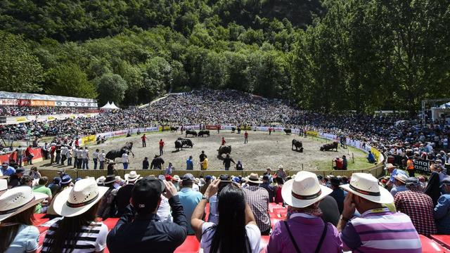 Le monde urbain s'intéresse toujours plus aux manifestations traditionnellement rurales. [Keystone - Jean-Christophe Bott]