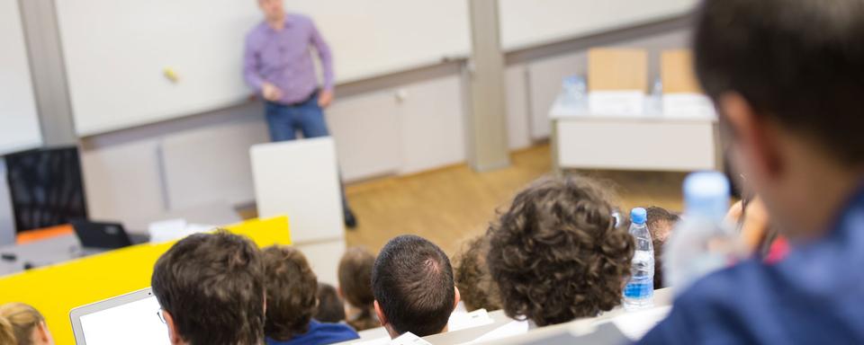 Salaires des professeurs: le recteur de l'Uni de Zurich a lancé un pavé dans la mare. [Fotolia - kasto]