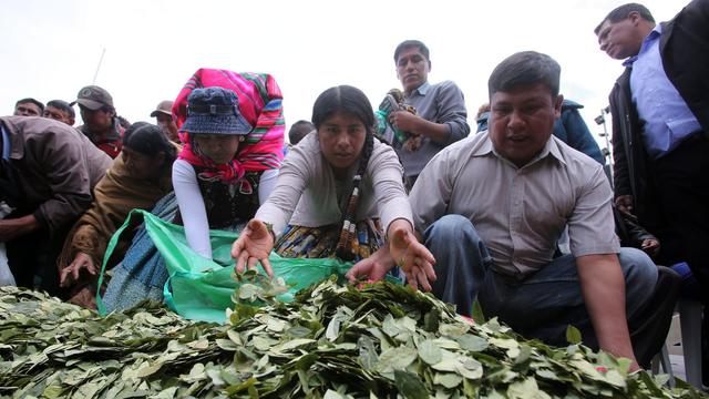 Des producteurs célébrant la Journée nationale de la mastication de la feuille de coca  à La Paz en Bolivie en 2017.