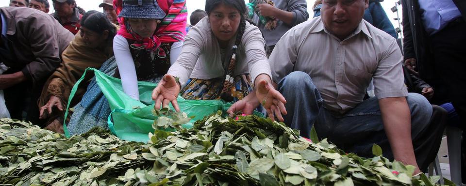 Des producteurs célébrant la Journée nationale de la mastication de la feuille de coca  à La Paz en Bolivie en 2017.