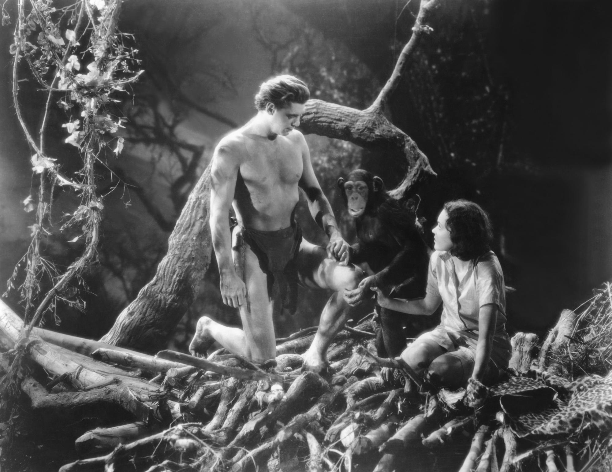 "Tarzan, l'homme singe" (1932). Un film de W.S. Van Dyke avec Johnny Weissmuller. [Collection Christophel - MGM/COLLECTION CHRISTOPHEL]