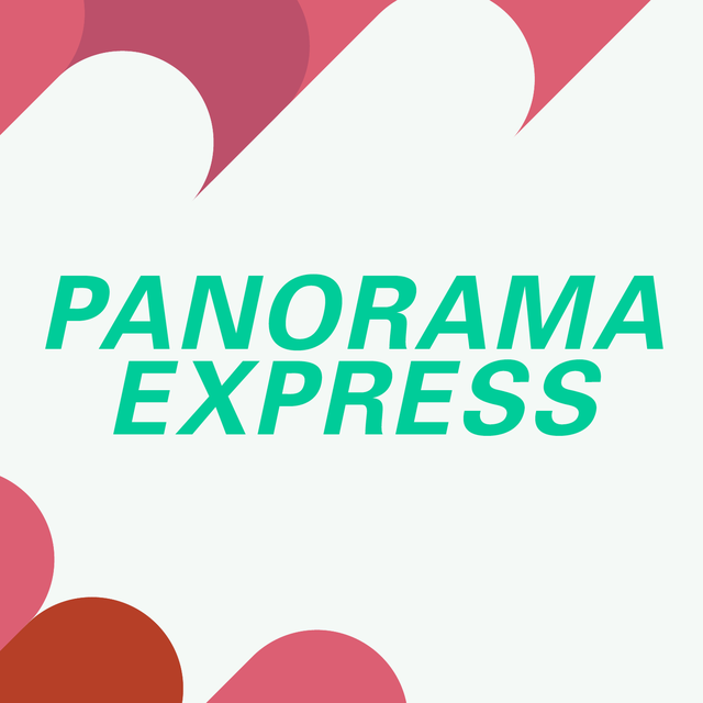Panorama Express, brèves rencontres avec des artistes émergents. [DR - RTS]