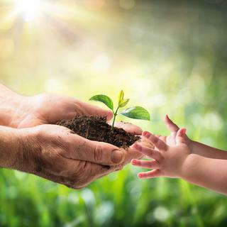 Conserver les végétaux pour les générations futures est un enjeu majeur.
Romolo Tavani
Fotolia [Romolo Tavani]