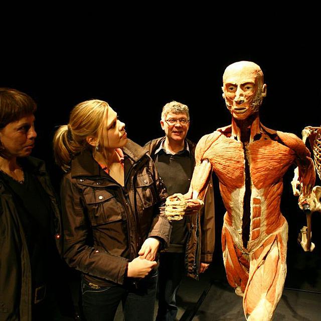 L'exposition montre des études anatomiques de corps humains, de la naissance à la mort. [© Gunther von Hagens' BODY WORLDS, Institute for Plastination, Heidelberg, Germany.]