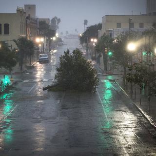 Un arbre déraciné par l'ouragan Harvey bloque une rue de Corpus Christi au Texas le 25 août 2017. [AP/Keystone - Nick Wagner]