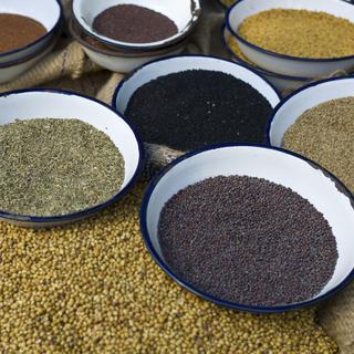 Le marché des graines libres de Kalpi rejette les graines génétiquement modifiées de Monsanto. [AFP - Tim Graham - Robert Harding Heritage]
