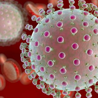 Le virus Zika. [Fotolia - © Kateryna_Kon]