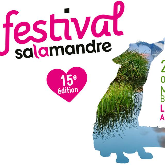 L'affiche de la 15ème édition du Festival "La Salamandre", du 20-22 octobre 2017, Morges Beausobre. [festival-salamandre.net/]