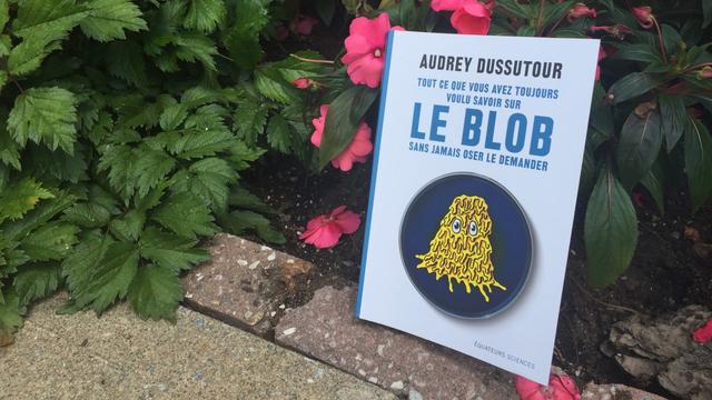 Couverture de "Tout ce que vous avez toujours voulu savoir sur le blob sans jamais oser le demander". [Radio-Canada - Eve Christian]