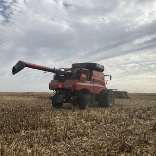 Les agriculteurs de l'Iowa ont dû se diversifier sur d'autres marchés que la culture du maïs. [RTS - Raphaël Grand]