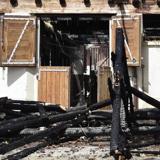 Les dégâts dans des bâtiments et des écuries du Haras fédéral d'Avenches, photographiés le juillet 2017 après les incendies. [Keystone - Christian Brun]