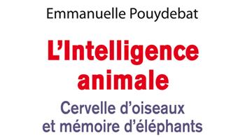 La couverture du livre "L'intelligence animale - cervelle d'oiseaux et mémoire d'éléphants" d'Emmanuelle Pouydebat. [Odile Jacob]