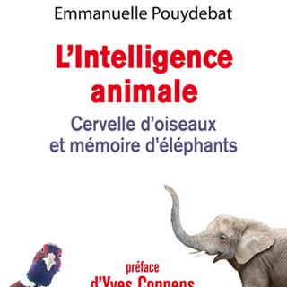 La couverture du livre "L'intelligence animale - cervelle d'oiseaux et mémoire d'éléphants" d'Emmanuelle Pouydebat. [Odile Jacob]