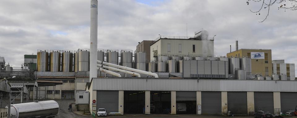 L'usine du groupe Lactalis Craon, en France. [AFP - Damien Meyer]