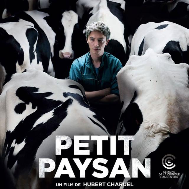 Affiche du film "Petit Paysan" d'Hubert Charuel. [DR - DR]