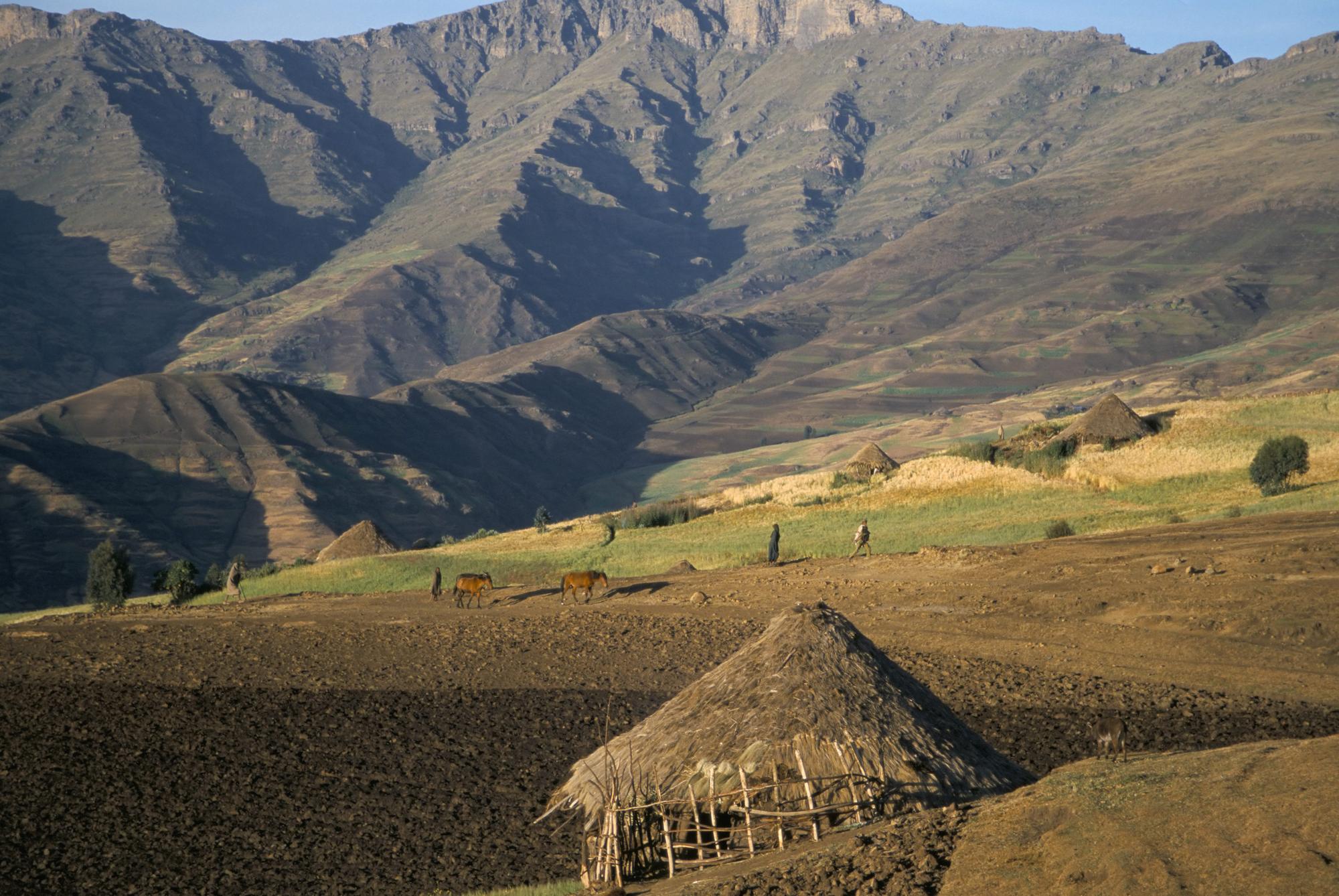 Le village de Debirichwa au parc national de Simien, en Ethiopie. [Robert Harding Heritage / robertharding - David Poole]
