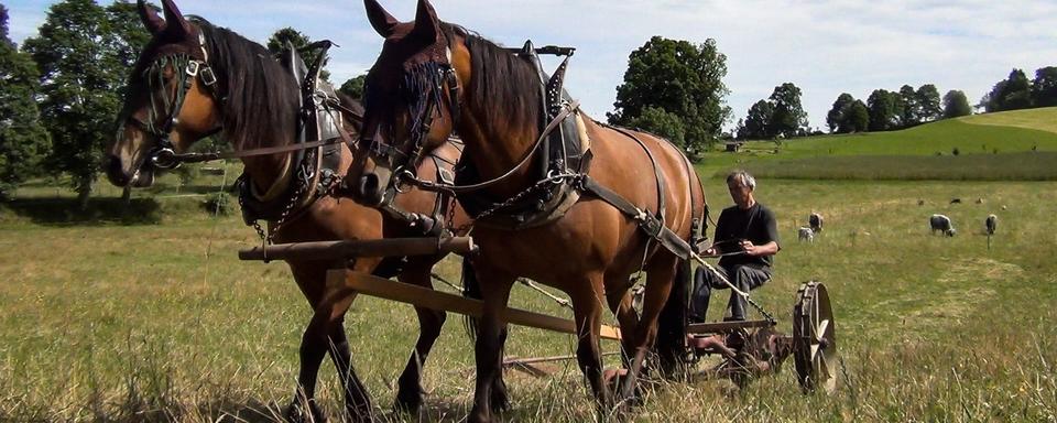 Sur les docs: Jura - Enracinés à leurs terres. [Daniel Künzi]