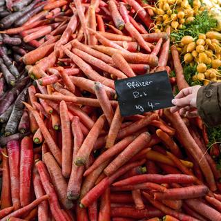 Le marché aux carottes d'Aarau, le 1er novembre 2017. (image d'illustration) [Keystone - Alexandra Wey]