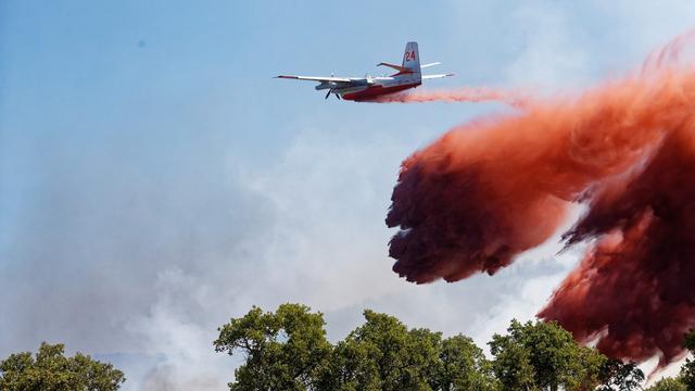 Dans quelle mesure ces incendies sont une catastrophe pour l’écosystème. [EPA/Keystone - Dominique Leriche]