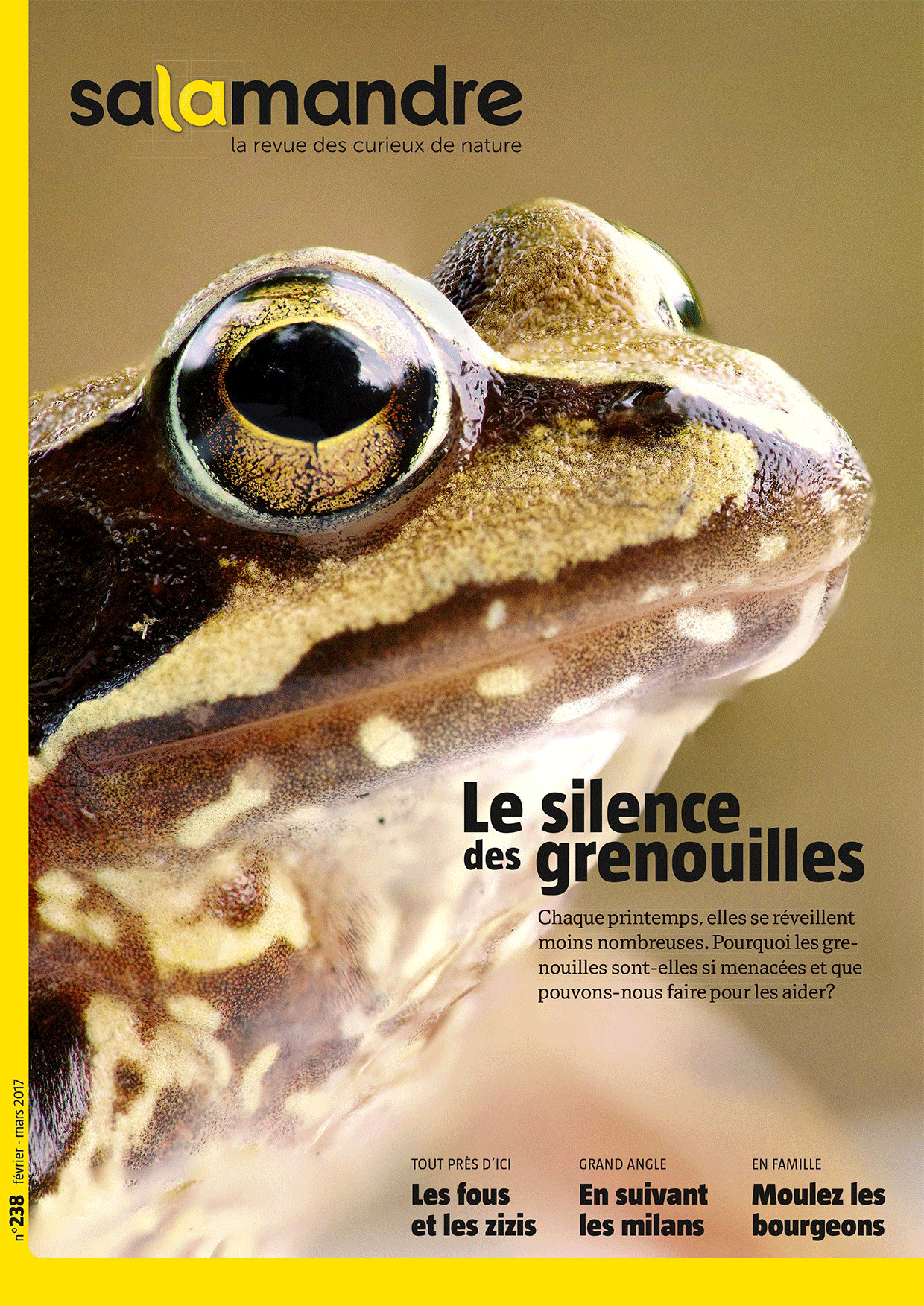 La couverture de La Salamandre des mois de février-mars 2016. [Salamandre.net]