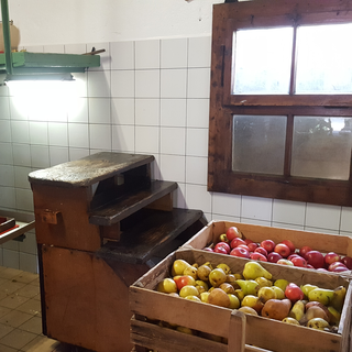 Les pommes récoltées par la coopérative "l'autre temps" au pressoir d'Orbe. [RTS - Xavier Bloch]