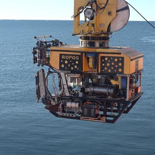 30 janvier 2017 - Le submersible Ropos est au service de l'ACE Expedition du Swiss Polar Institute.
Tarek Bazley
Al Jazeera [Al Jazeera - Tarek Bazley]