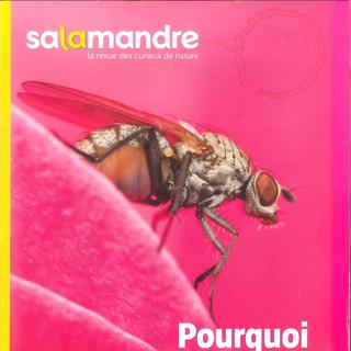 La couverture de La Salamandre n°241 des mois d'août-septembre 2017. [Salamandre.net]
