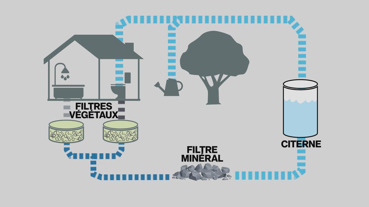 Le circuit d'épuration de l'eau dans cet immeuble genevois. [RTS - DR]