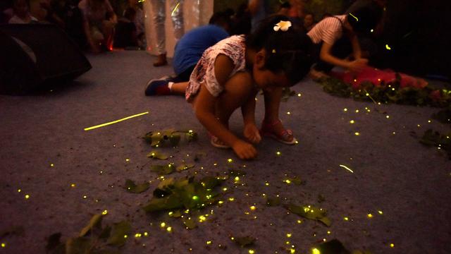 Toutes les occasions sont bonnes pour organiser des lâchers de lucioles en Chine. [Stringer/Imaginechina/AFP]