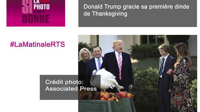 Donald Trump gracie sa première dinde de Thanksgiving. [AP]