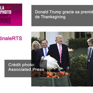 Donald Trump gracie sa première dinde de Thanksgiving. [AP]